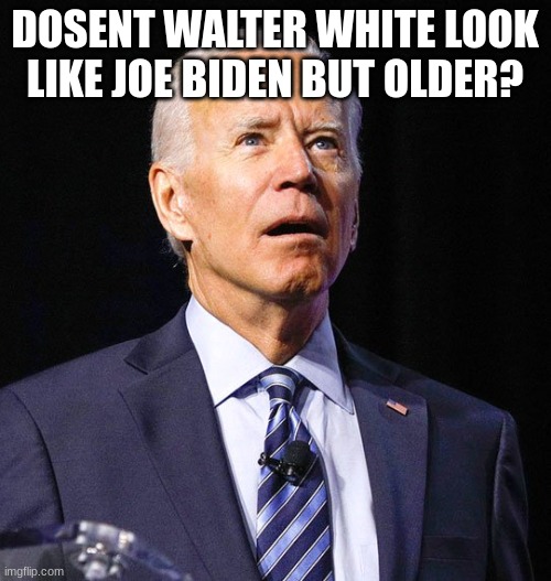 Joe Biden | DOSENT WALTER WHITE LOOK LIKE JOE BIDEN BUT OLDER? | image tagged in joe biden | made w/ Imgflip meme maker