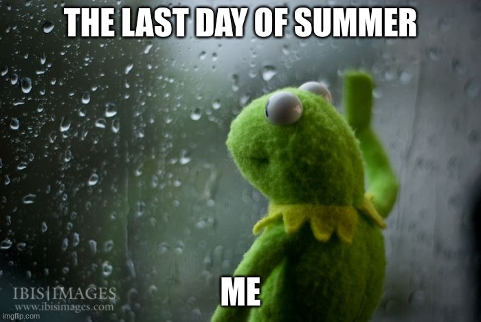 kermit window | THE LAST DAY OF SUMMER; ME | image tagged in kermit window | made w/ Imgflip meme maker
