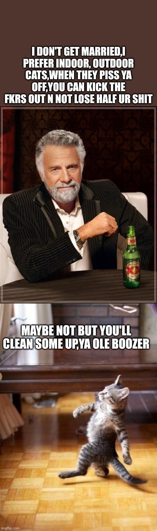 I DON'T GET MARRIED,I PREFER INDOOR, OUTDOOR CATS,WHEN THEY PISS YA OFF,YOU CAN KICK THE FKRS OUT N NOT LOSE HALF UR SHIT; MAYBE NOT BUT YOU'LL CLEAN SOME UP,YA OLE BOOZER | image tagged in memes,the most interesting man in the world,cool cat stroll | made w/ Imgflip meme maker