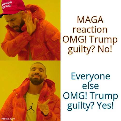 Mixed feelings | MAGA reaction
OMG! Trump guilty? No! Everyone else
OMG! Trump guilty? Yes! | image tagged in memes,drake hotline bling,donald trump,money money,politics | made w/ Imgflip meme maker