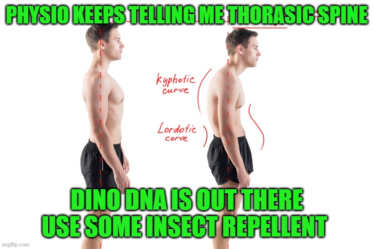 Thorasic spine | PHYSIO KEEPS TELLING ME THORASIC SPINE; DINO DNA IS OUT THERE USE SOME INSECT REPELLENT | image tagged in gym,phsysio therapy,health,body,fun | made w/ Imgflip meme maker