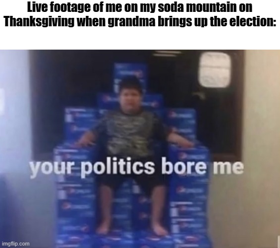 Grandma, I'm going to say this as politely as I can. Shut the heck up. | Live footage of me on my soda mountain on Thanksgiving when grandma brings up the election: | image tagged in your politics bore me | made w/ Imgflip meme maker