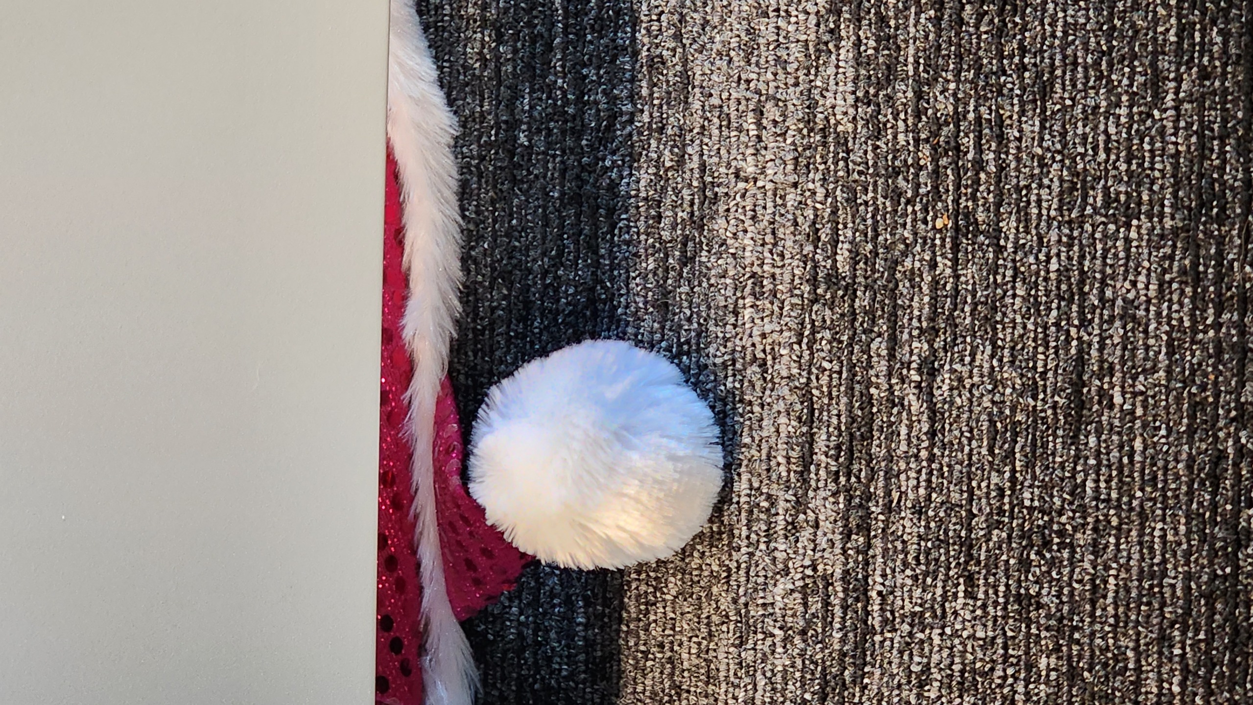 High Quality Snowball, the Christmas Hamster Blank Meme Template