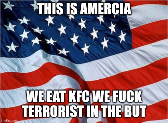 USA Flag | THIS IS AMERCIA WE EAT KFC WE FUCK TERRORIST IN THE BUT | image tagged in usa flag | made w/ Imgflip meme maker