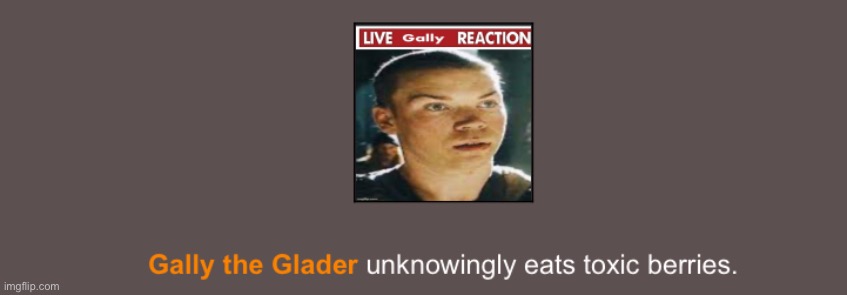 NOO GALLY THE GLADER | image tagged in memes,hunger games | made w/ Imgflip meme maker