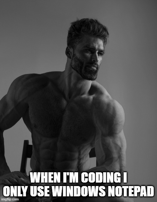 NotePad is peak programming | WHEN I'M CODING I ONLY USE WINDOWS NOTEPAD | image tagged in giga chad,coding,windows,programming,programmers | made w/ Imgflip meme maker
