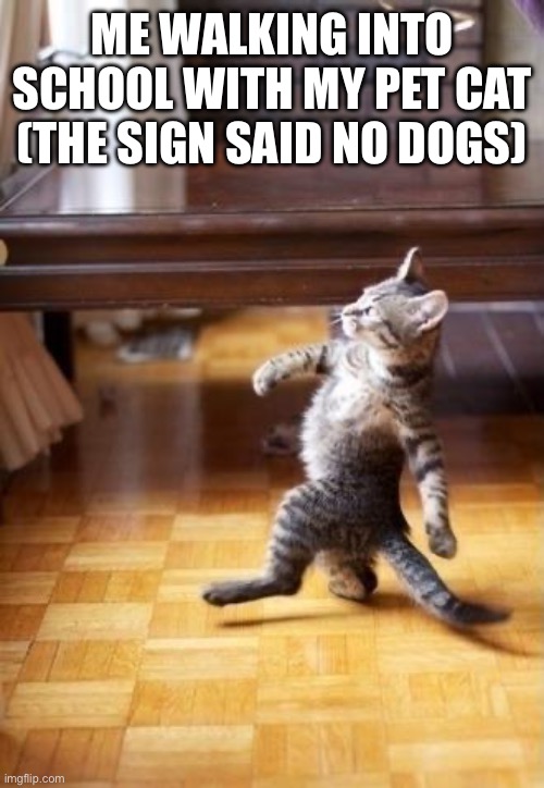 Too cool for school | ME WALKING INTO SCHOOL WITH MY PET CAT (THE SIGN SAID NO DOGS) | image tagged in memes,cool cat stroll,cats,school | made w/ Imgflip meme maker