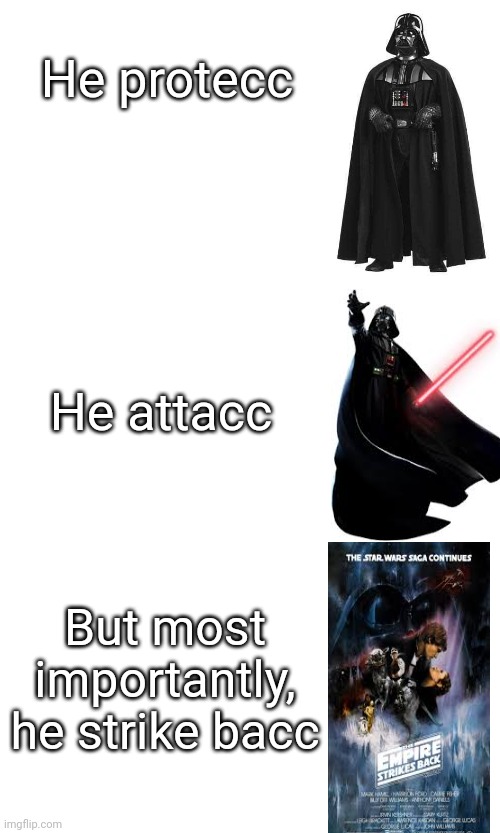 He protecc; He attacc; But most importantly, he strike bacc | image tagged in funny,star wars | made w/ Imgflip meme maker