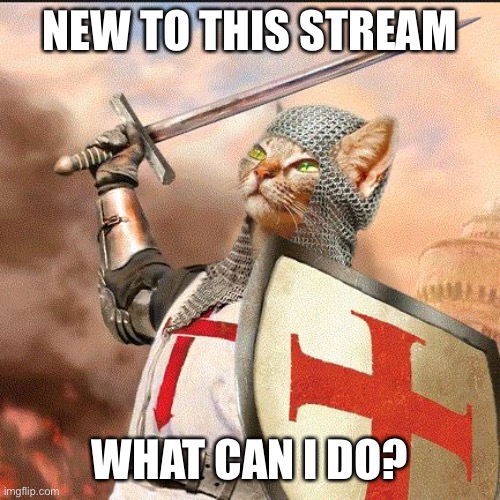 Want to be ready for SHTF | NEW TO THIS STREAM; WHAT CAN I DO? | image tagged in crusader cat | made w/ Imgflip meme maker