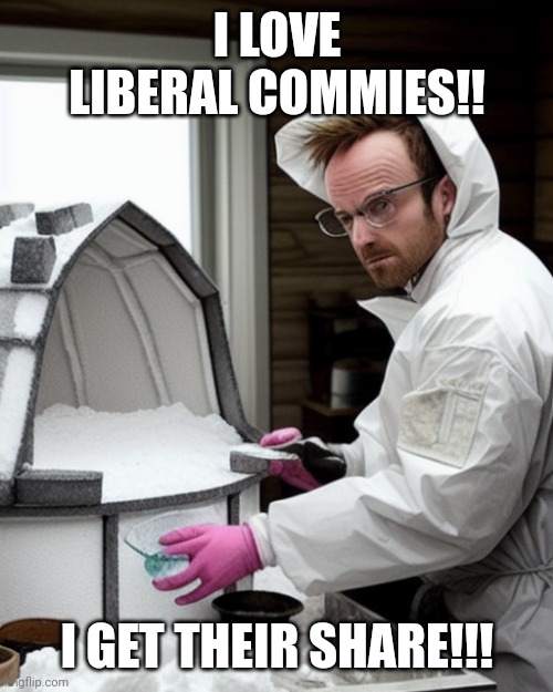 Snowcones | I LOVE LIBERAL COMMIES!! I GET THEIR SHARE!!! | image tagged in snowcones | made w/ Imgflip meme maker