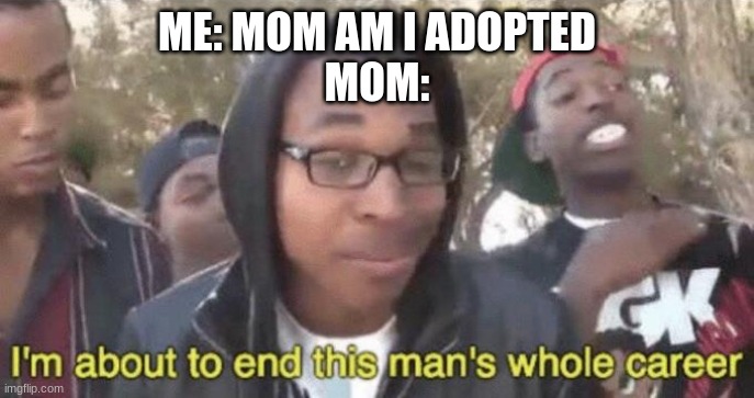 random comment meme #4 | ME: MOM AM I ADOPTED
MOM: | image tagged in i m about to end this man s whole career | made w/ Imgflip meme maker