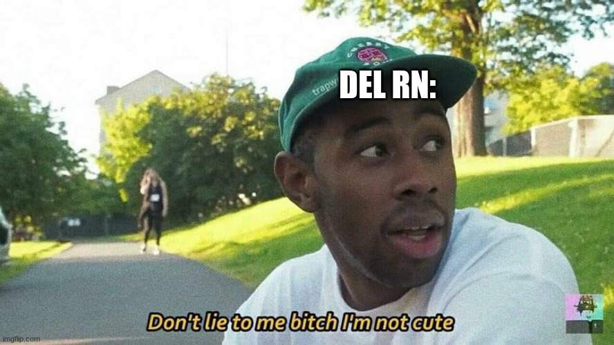 Tyler, the Creator don't lie to me bitch I'm not cute | DEL RN: | image tagged in tyler the creator don't lie to me bitch i'm not cute | made w/ Imgflip meme maker