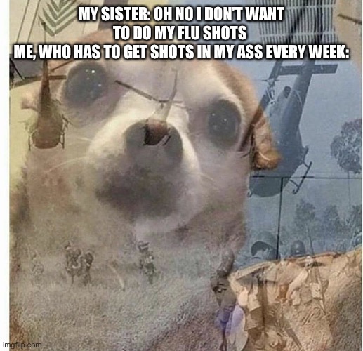 Help me | MY SISTER: OH NO I DON’T WANT TO DO MY FLU SHOTS 
ME, WHO HAS TO GET SHOTS IN MY ASS EVERY WEEK: | image tagged in memes,funny,ptsd chihuahua,doctor,oh wow are you actually reading these tags,help | made w/ Imgflip meme maker