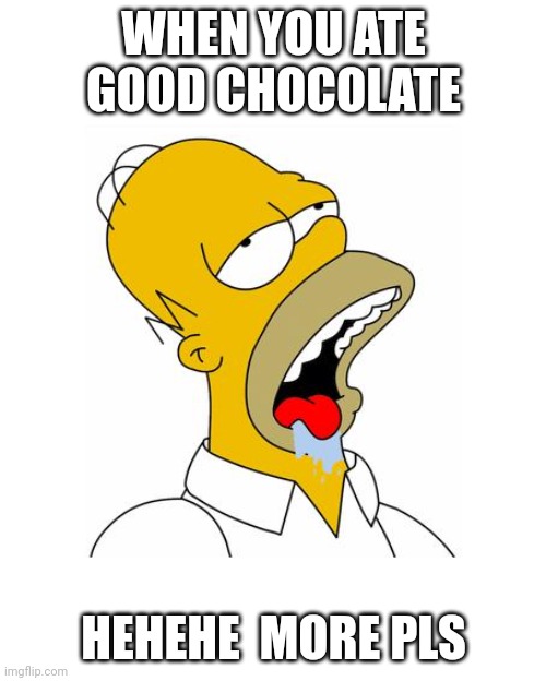 Homer Simpson Drooling | WHEN YOU ATE GOOD CHOCOLATE; HEHEHE  MORE PLS | image tagged in homer simpson drooling | made w/ Imgflip meme maker