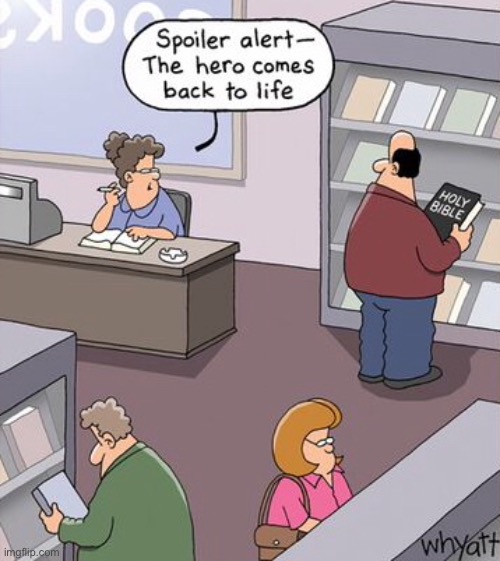 Librarian | image tagged in spoiler alert,hero back to life,librarian,books,comics | made w/ Imgflip meme maker