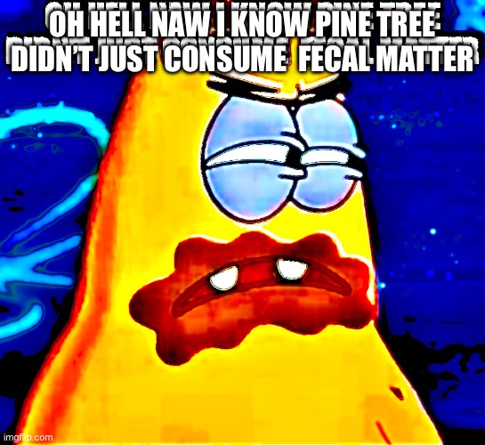 OH HELL NAW I KNOW PINE TREE DIDN’T JUST CONSUME  FECAL MATTER | image tagged in spunch bop,spongebob,memes,funny,shitpost | made w/ Imgflip meme maker