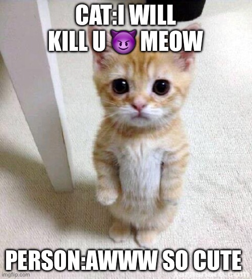LISTEN TO THe CaT people | CAT:I WILL KILL U 😈 MEOW; PERSON:AWWW SO CUTE | image tagged in memes,cute cat | made w/ Imgflip meme maker
