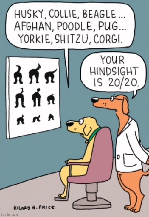 Eyesight test | image tagged in eye test,your hindsight,is 20 20,vision,comics | made w/ Imgflip meme maker