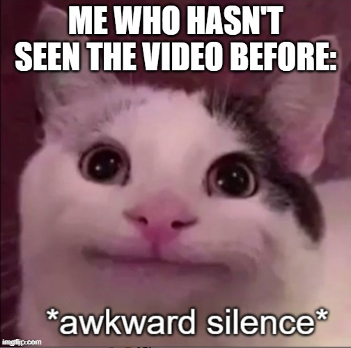 Awkward silence cat | ME WHO HASN'T SEEN THE VIDEO BEFORE: | image tagged in awkward silence cat | made w/ Imgflip meme maker