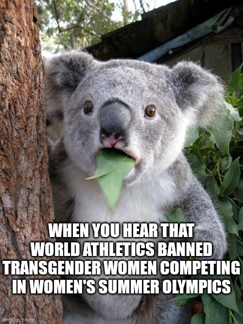 Shocked | WHEN YOU HEAR THAT WORLD ATHLETICS BANNED TRANSGENDER WOMEN COMPETING IN WOMEN'S SUMMER OLYMPICS | image tagged in memes,surprised koala,democrats,politics | made w/ Imgflip meme maker