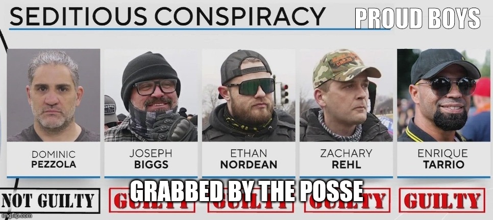 Proud Boys found Guilty of conspiracy | PROUD BOYS; GRABBED BY THE POSSE | image tagged in proud boys found guilty of conspiracy | made w/ Imgflip meme maker