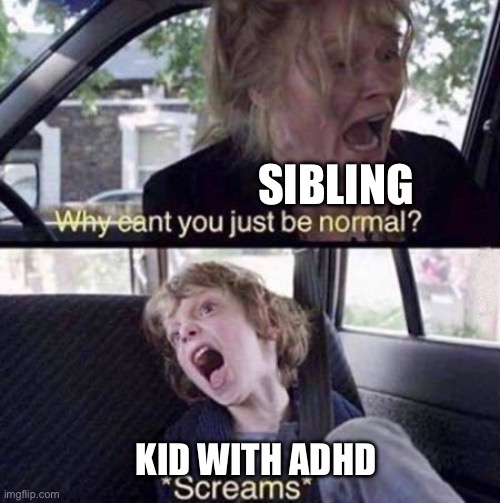 Why Can't You Just Be Normal | SIBLING; KID WITH ADHD | image tagged in why can't you just be normal | made w/ Imgflip meme maker