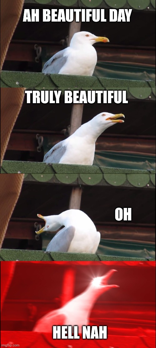 Butiful | AH BEAUTIFUL DAY; TRULY BEAUTIFUL; OH; HELL NAH | image tagged in memes,inhaling seagull | made w/ Imgflip meme maker