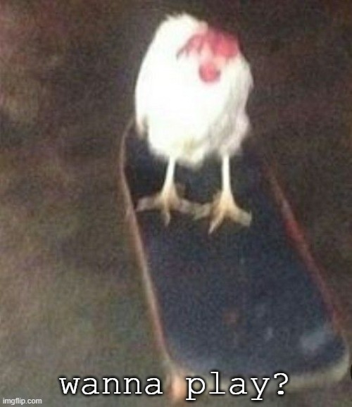 Dog on skateboard | wanna play? | image tagged in dog on skateboard | made w/ Imgflip meme maker