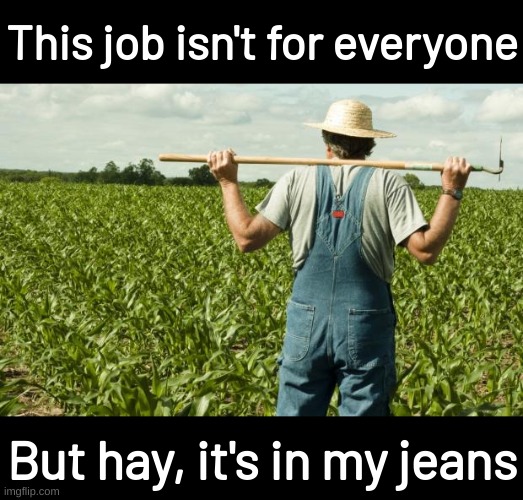 farmer | This job isn't for everyone; But hay, it's in my jeans | image tagged in farmer | made w/ Imgflip meme maker