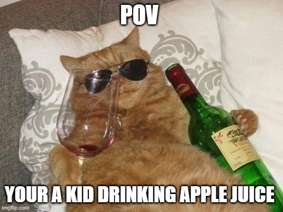 Funny Cat Birthday | POV; YOUR A KID DRINKING APPLE JUICE | image tagged in funny cat birthday | made w/ Imgflip meme maker