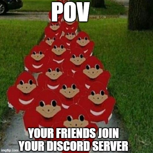 Ugandan knuckles army | POV; YOUR FRIENDS JOIN YOUR DISCORD SERVER | image tagged in ugandan knuckles army,funny | made w/ Imgflip meme maker