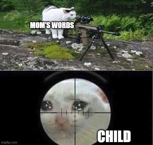 Sniper cat | MOM'S WORDS CHILD | image tagged in sniper cat | made w/ Imgflip meme maker