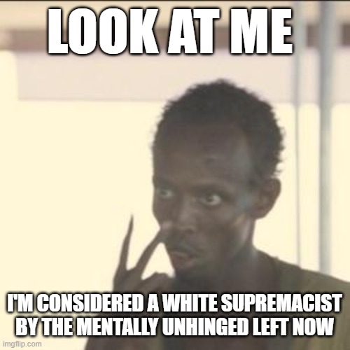 THESE PEOPLE ARE RIDICULOUS WITH THEIR RHETORIC | LOOK AT ME; I'M CONSIDERED A WHITE SUPREMACIST BY THE MENTALLY UNHINGED LEFT NOW | image tagged in memes,look at me,white supremacists | made w/ Imgflip meme maker