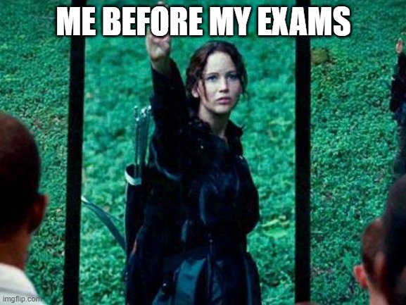 Hunger Games 2 | ME BEFORE MY EXAMS | image tagged in hunger games 2 | made w/ Imgflip meme maker