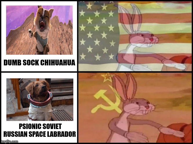 Capitalist Chihuahua vs Soviet space dog | DUMB SOCK CHIHUAHUA; PSIONIC SOVIET RUSSIAN SPACE LABRADOR | image tagged in capitalist and communist | made w/ Imgflip meme maker