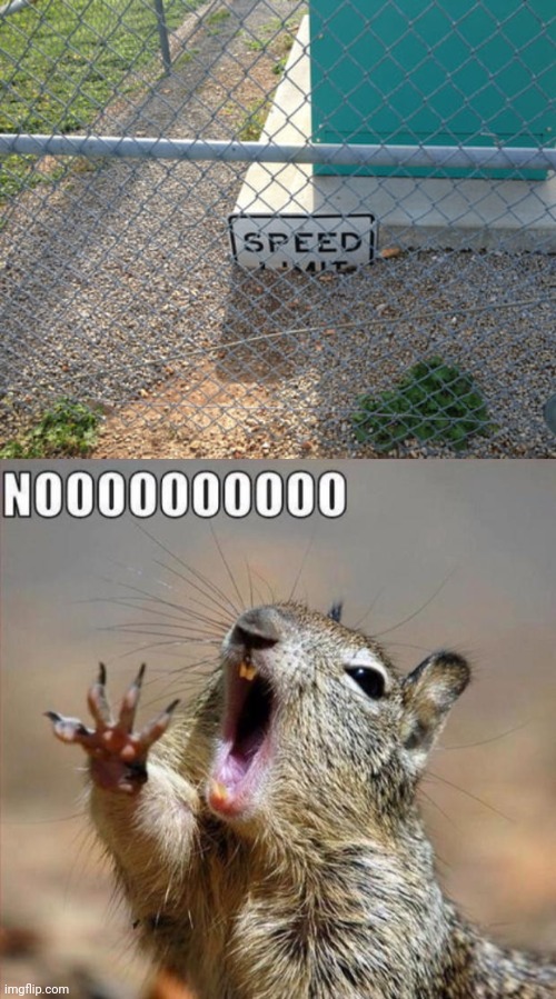Speed limit sign | image tagged in noooooooooooooooooooooooo,speed limit,you had one job,memes,outside,sink | made w/ Imgflip meme maker