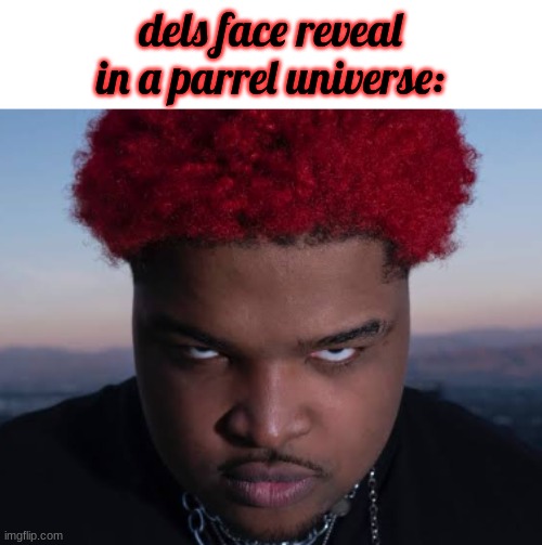 bro thinks he is him | dels face reveal in a parrel universe: | image tagged in bro thinks he is him | made w/ Imgflip meme maker