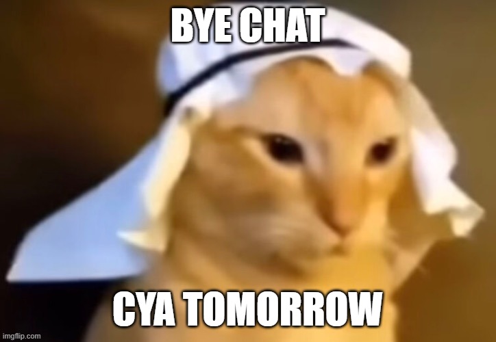 haram cat | BYE CHAT; CYA TOMORROW | image tagged in haram cat | made w/ Imgflip meme maker