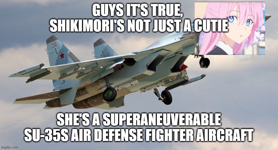 ah yes, my favorite anime. | GUYS IT'S TRUE, 
SHIKIMORI'S NOT JUST A CUTIE; SHE'S A SUPERANEUVERABLE SU-35S AIR DEFENSE FIGHTER AIRCRAFT | image tagged in fighter jet,anime girl | made w/ Imgflip meme maker