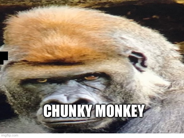 CHUNKY MONKEY | CHUNKY MONKEY | image tagged in memes,funny | made w/ Imgflip meme maker