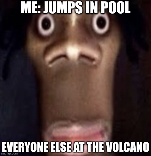 Quandale dingle | ME: JUMPS IN POOL; EVERYONE ELSE AT THE VOLCANO | image tagged in quandale dingle | made w/ Imgflip meme maker