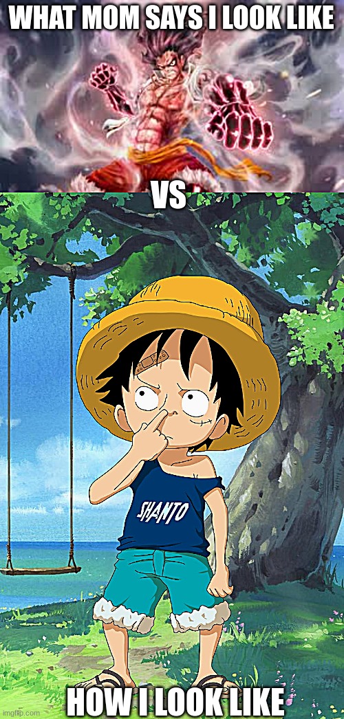 how my mom sees me | WHAT MOM SAYS I LOOK LIKE; VS; HOW I LOOK LIKE | image tagged in luffy template,anime,comparison | made w/ Imgflip meme maker