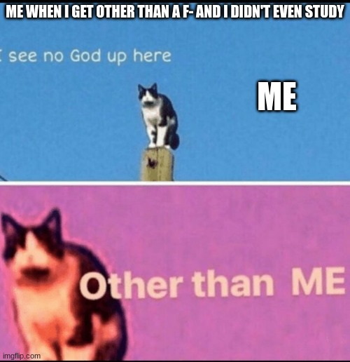 Yes take that school! | ME WHEN I GET OTHER THAN A F- AND I DIDN'T EVEN STUDY; ME | image tagged in i see no god up here other than me,school,school memes,so true memes,funny memes,memes | made w/ Imgflip meme maker