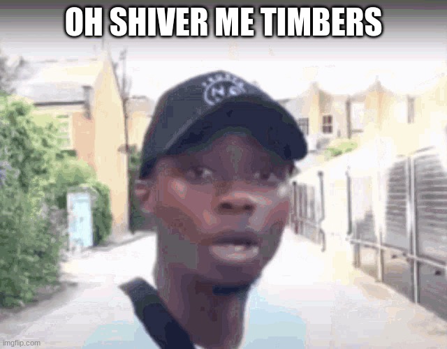 OH SHIVER ME TIMBERS | image tagged in memes | made w/ Imgflip meme maker