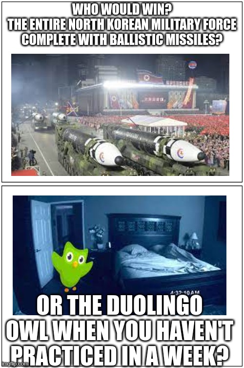 The Duolingo Owl is Scary... | WHO WOULD WIN?
THE ENTIRE NORTH KOREAN MILITARY FORCE COMPLETE WITH BALLISTIC MISSILES? OR THE DUOLINGO OWL WHEN YOU HAVEN'T PRACTICED IN A WEEK? | image tagged in duolingo,duolingo bird | made w/ Imgflip meme maker