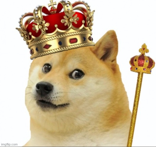 King doge | image tagged in king doge | made w/ Imgflip meme maker