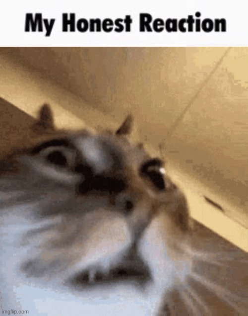 image tagged in my honest reaction | made w/ Imgflip meme maker