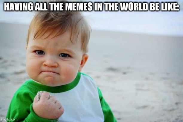 Success Kid Original | HAVING ALL THE MEMES IN THE WORLD BE LIKE: | image tagged in memes,success kid original | made w/ Imgflip meme maker