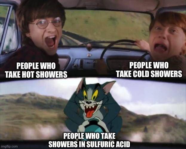 What the **** tom | PEOPLE WHO TAKE COLD SHOWERS; PEOPLE WHO TAKE HOT SHOWERS; PEOPLE WHO TAKE SHOWERS IN SULFURIC ACID | image tagged in tom chasing harry and ron weasly,funny memes,memes,tom and jerry,harry potter,crazy | made w/ Imgflip meme maker