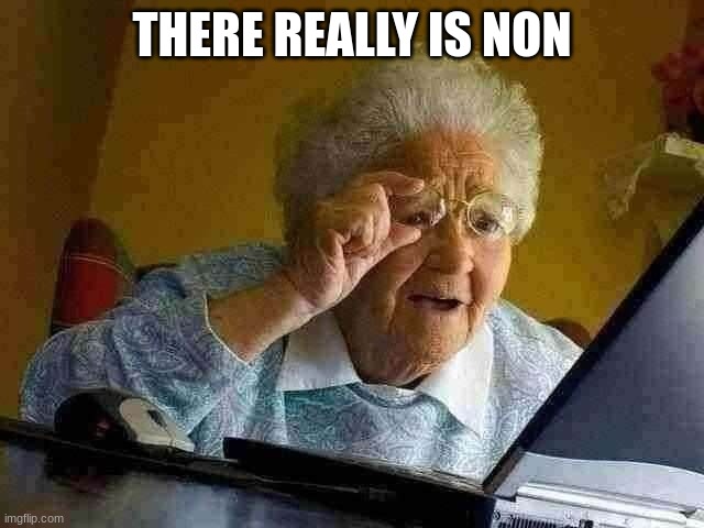 Grandma Finds The Internet Meme | THERE REALLY IS NON | image tagged in memes,grandma finds the internet | made w/ Imgflip meme maker